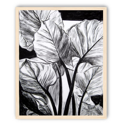 Overlapping Leaves on Dark Ground