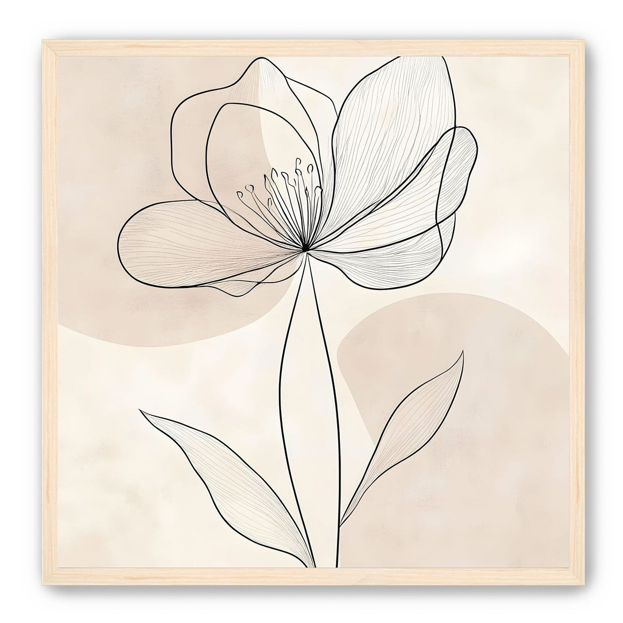 Single Bloom