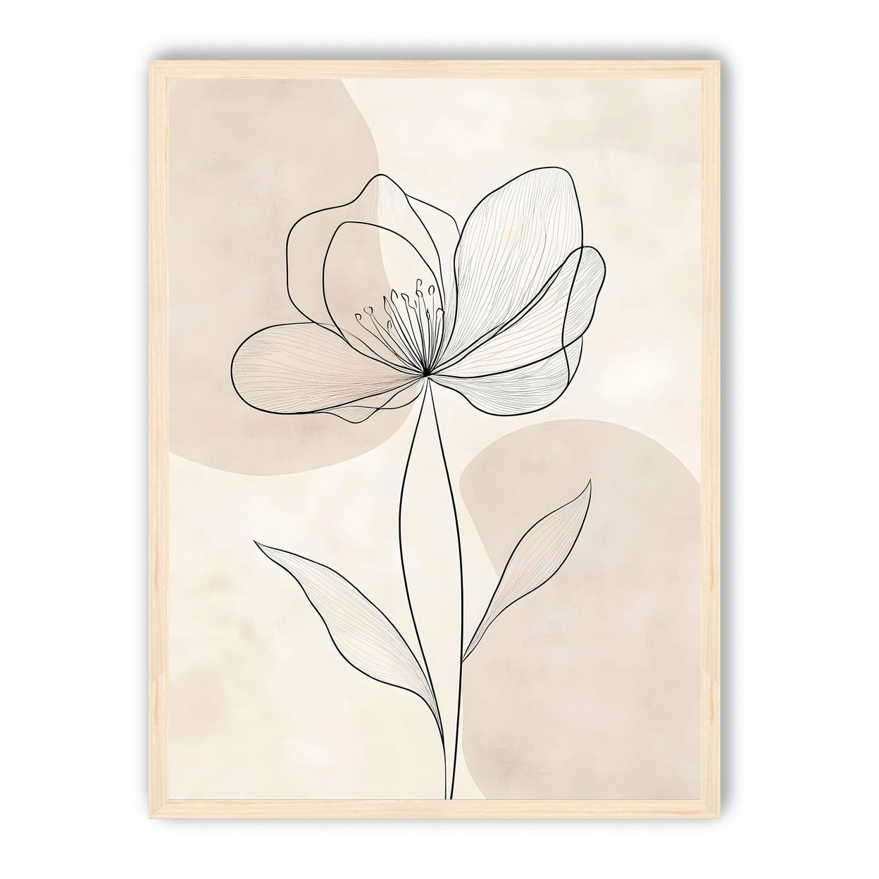 Single Bloom