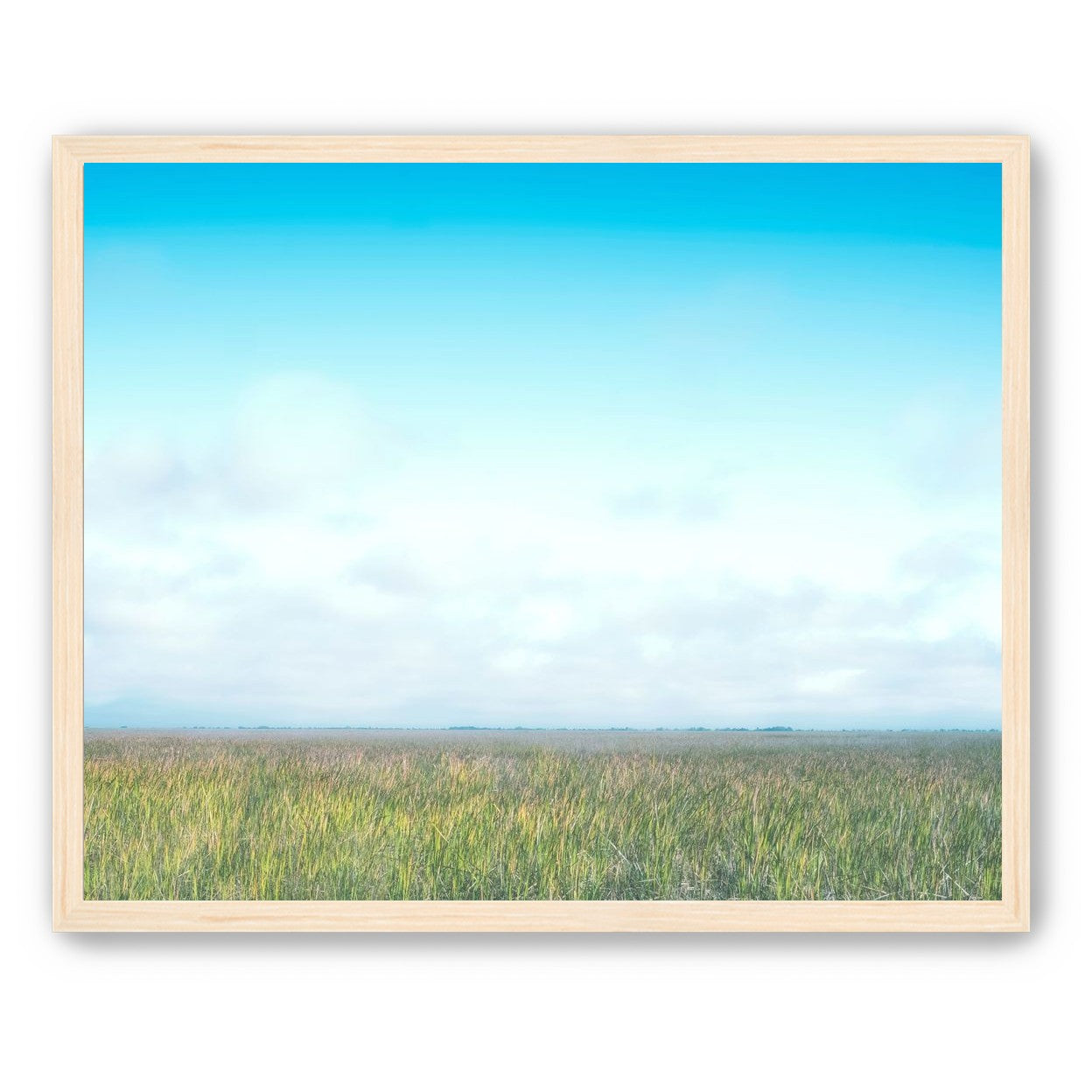 Grasslands