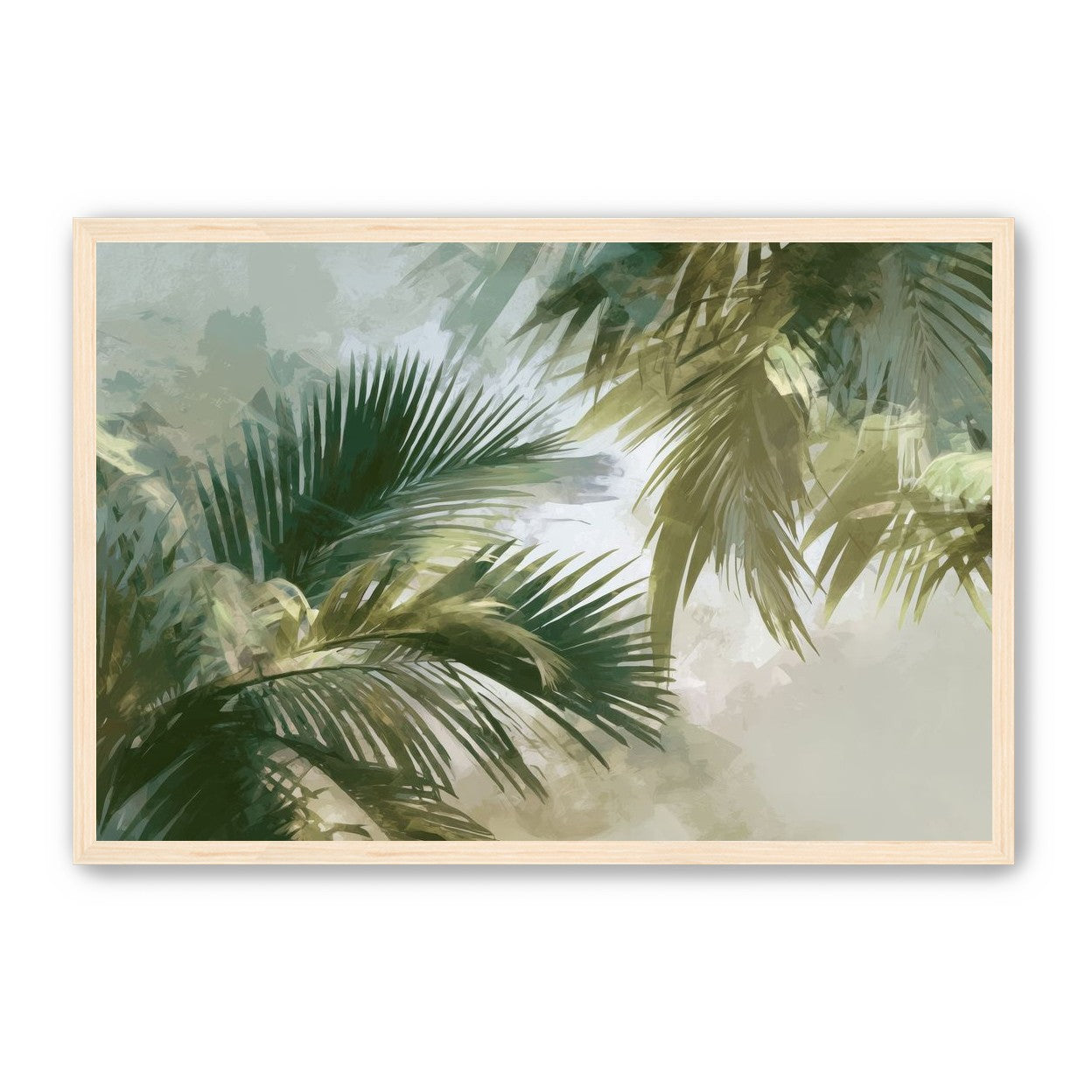 Palm Canopy
