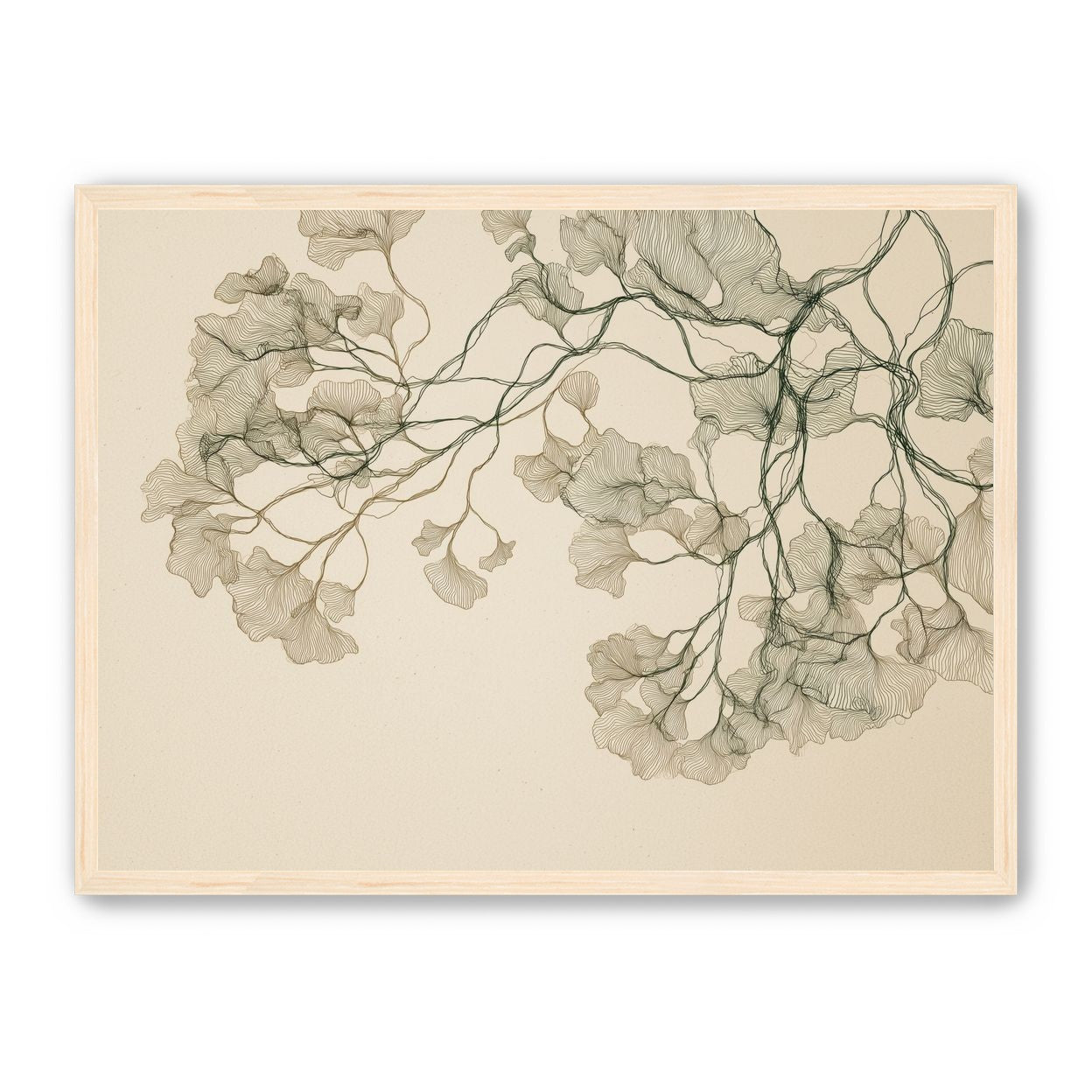 Open Canopies in Ink