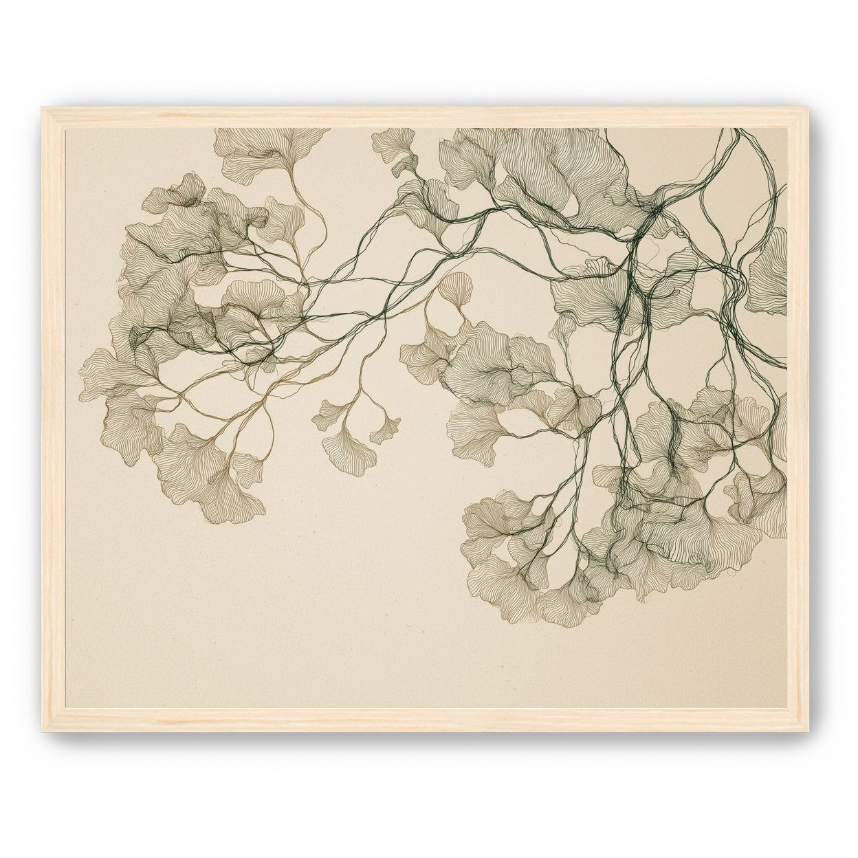 Open Canopies in Ink