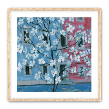 White blossoms across blue and pink