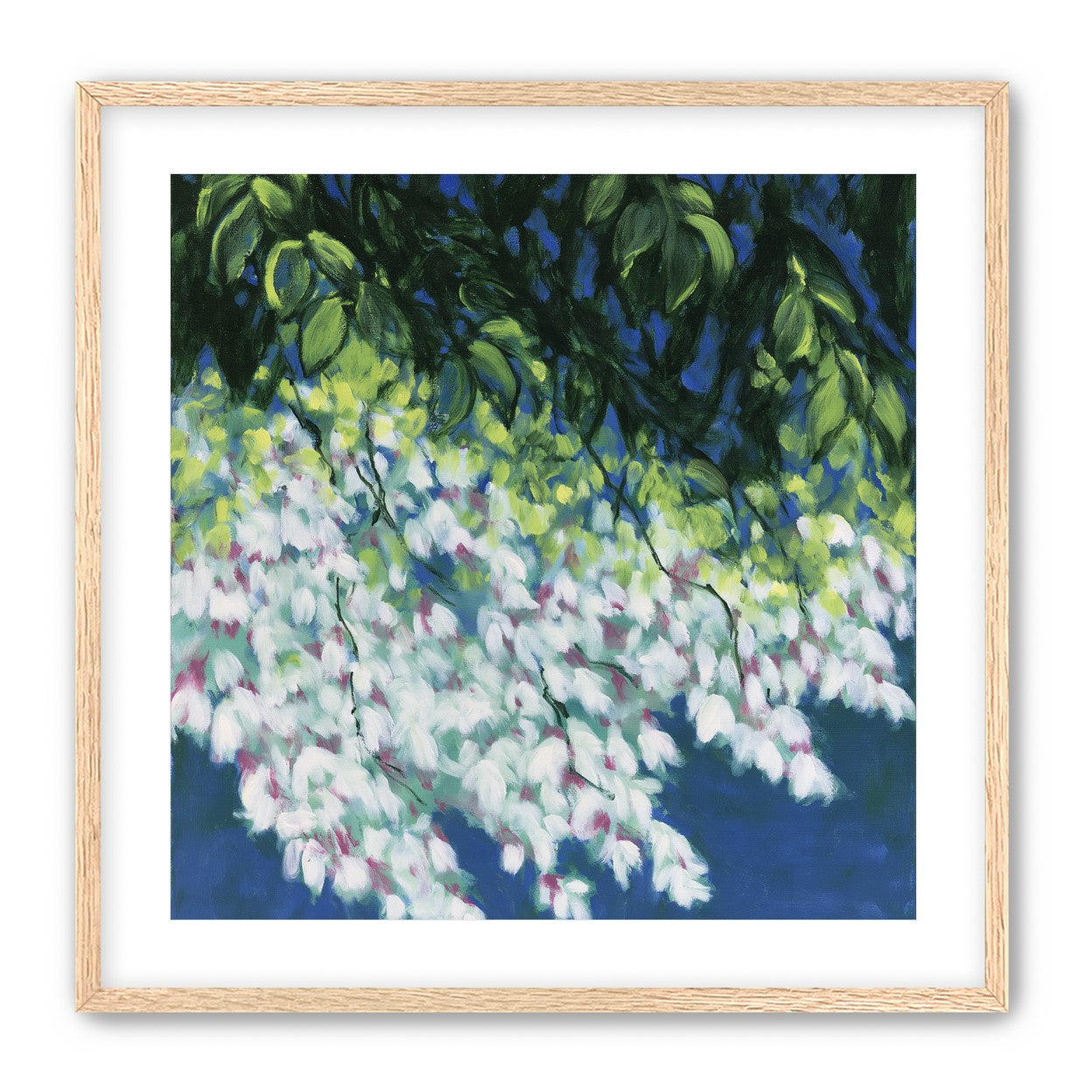 White blossoms in blue shade
