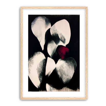 Red petal in shadowed bloom