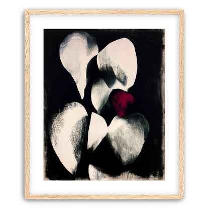 Red petal in shadowed bloom