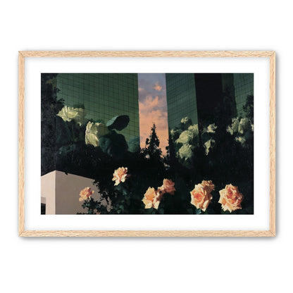 Roses under green towers
