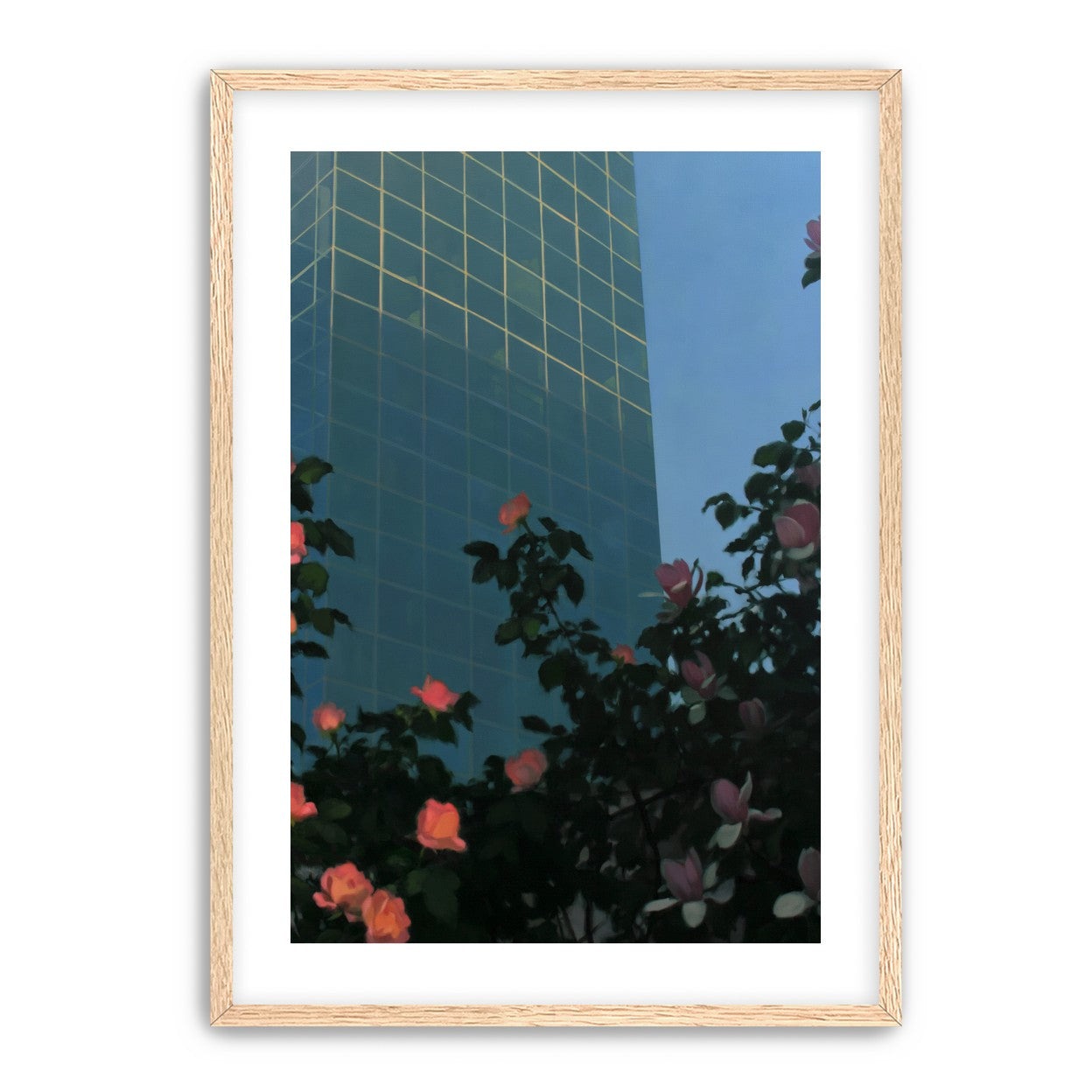 Roses beneath blue towers