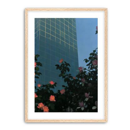Roses beneath blue towers