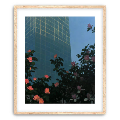 Roses beneath blue towers