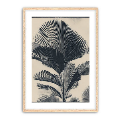 Palm fronds in black ink
