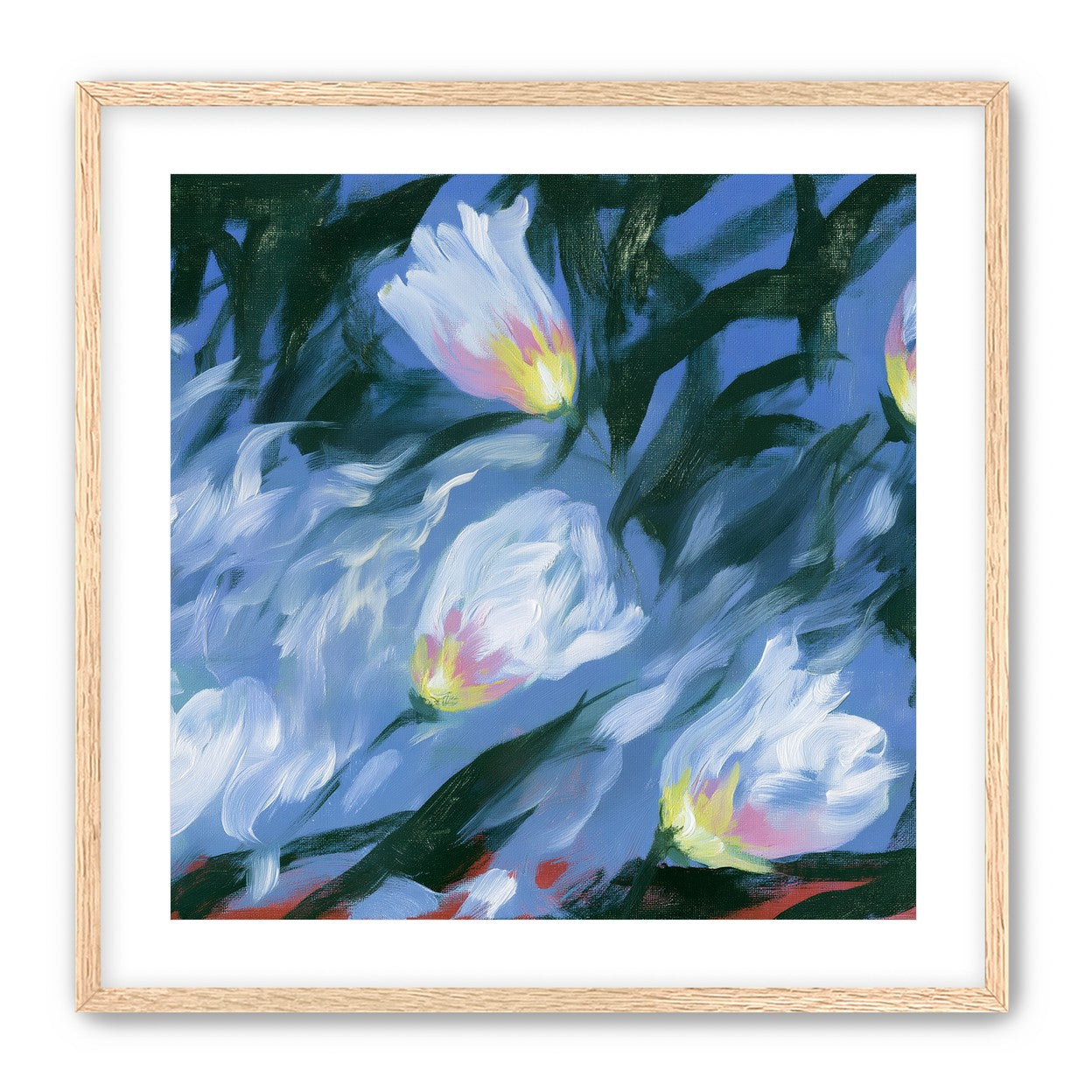 White tulips on blue ground