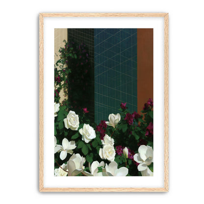 Roses against the blue grid
