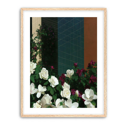 Roses against the blue grid