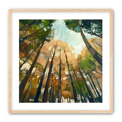 Canopy Lightfall