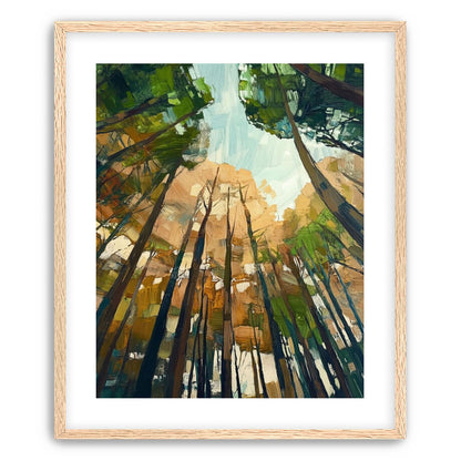 Canopy Lightfall