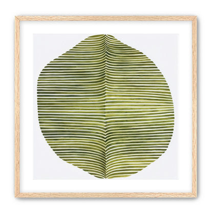 Dark green stripes crease inward