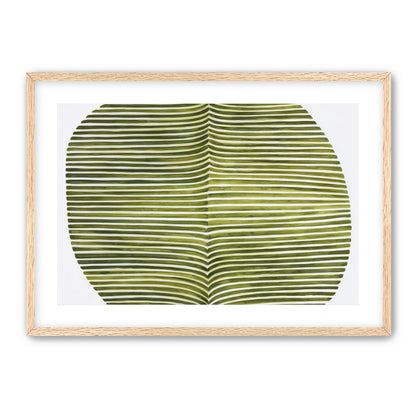 Dark green stripes crease inward