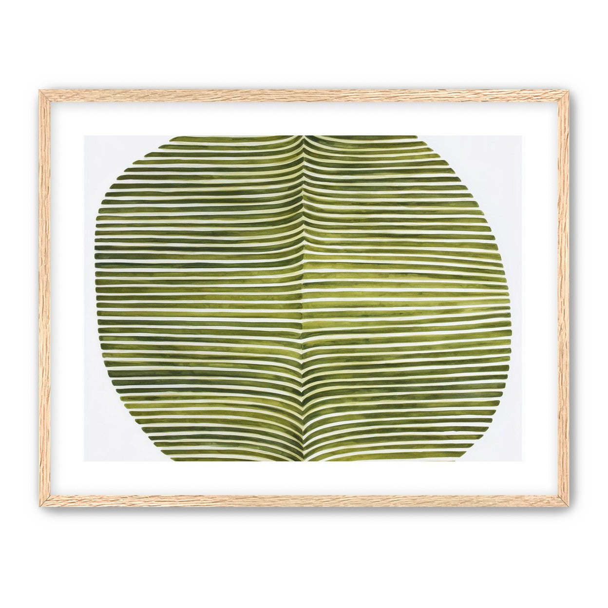 Dark green stripes crease inward