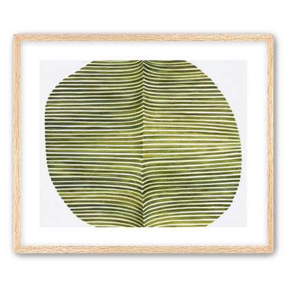 Dark green stripes crease inward