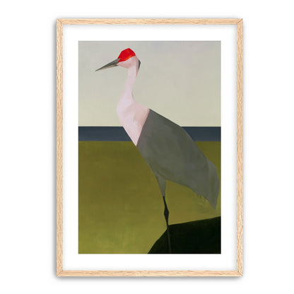 Red crown crane at the shore