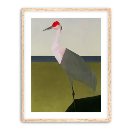 Red crown crane at the shore