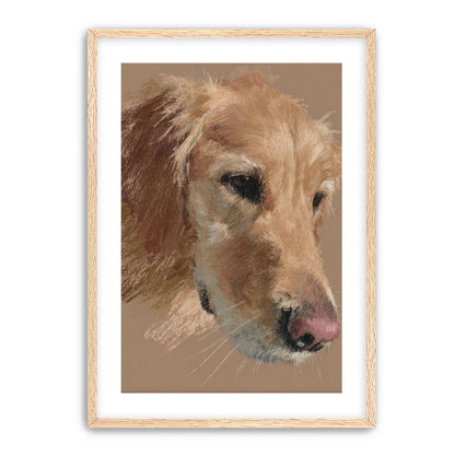 Warm browns on a golden retriever