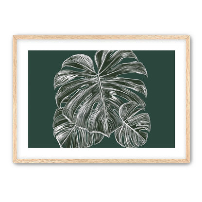 White veins on green field