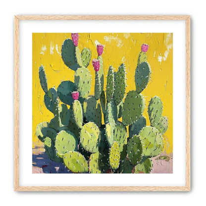 Pink blooms in yellow heat