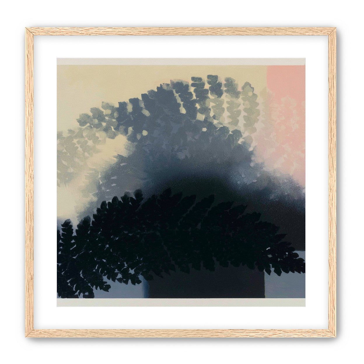 Tree shadow across the sky