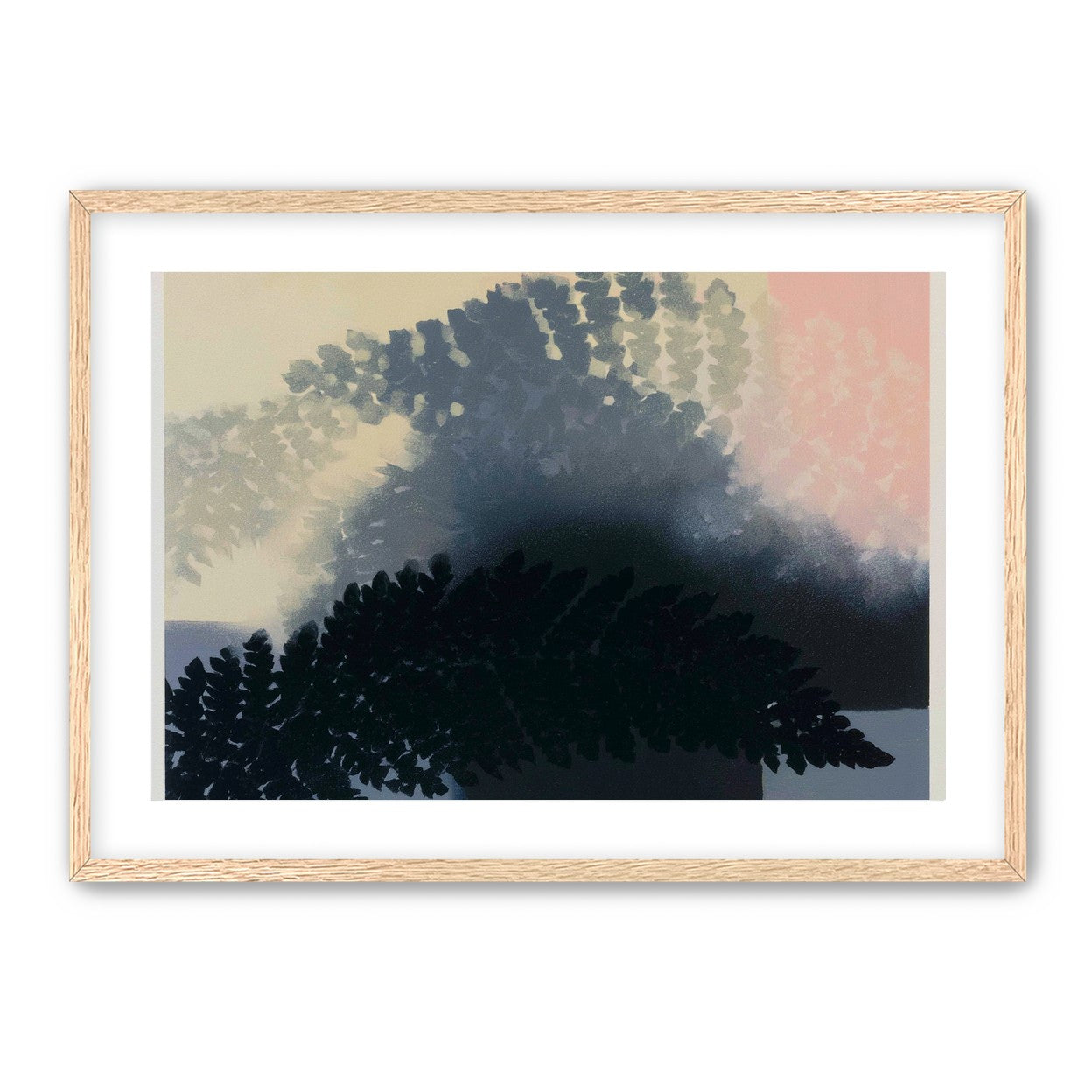 Tree shadow across the sky