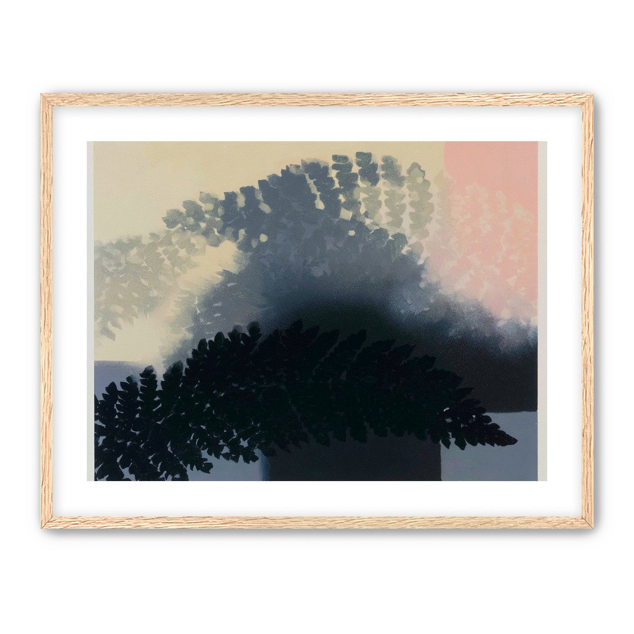 Tree shadow across the sky