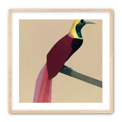 A bright bird on a branch