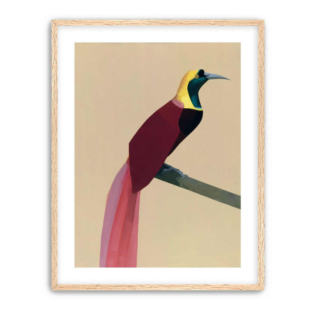 A bright bird on a branch