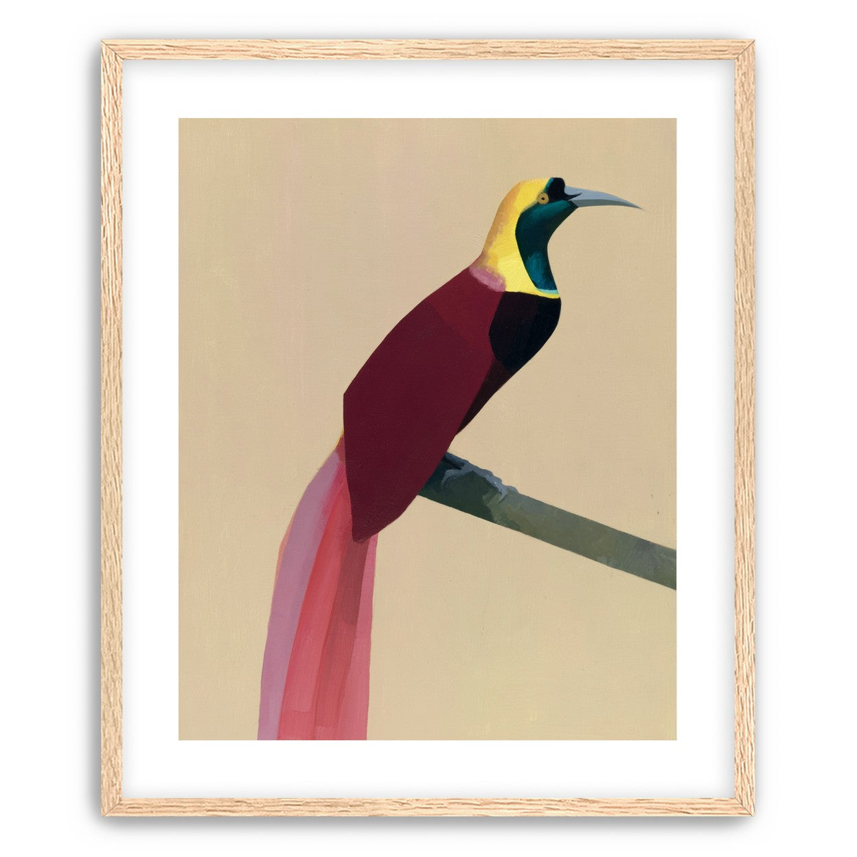 A bright bird on a branch