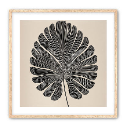 Striped fan leaf alone