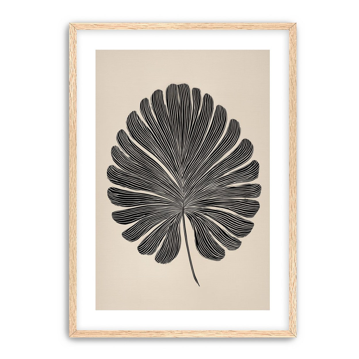 Striped fan leaf alone