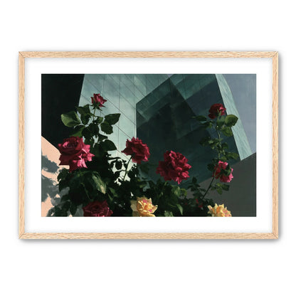 Roses against glass towers