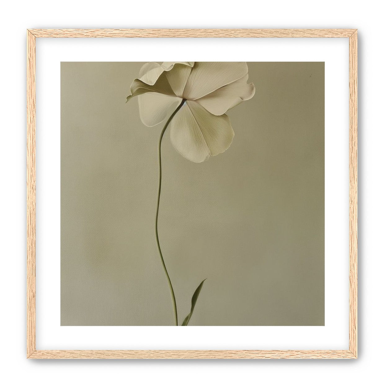One flower leaning into quiet
