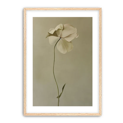 One flower leaning into quiet