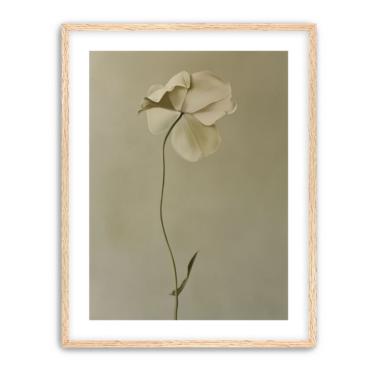 One flower leaning into quiet