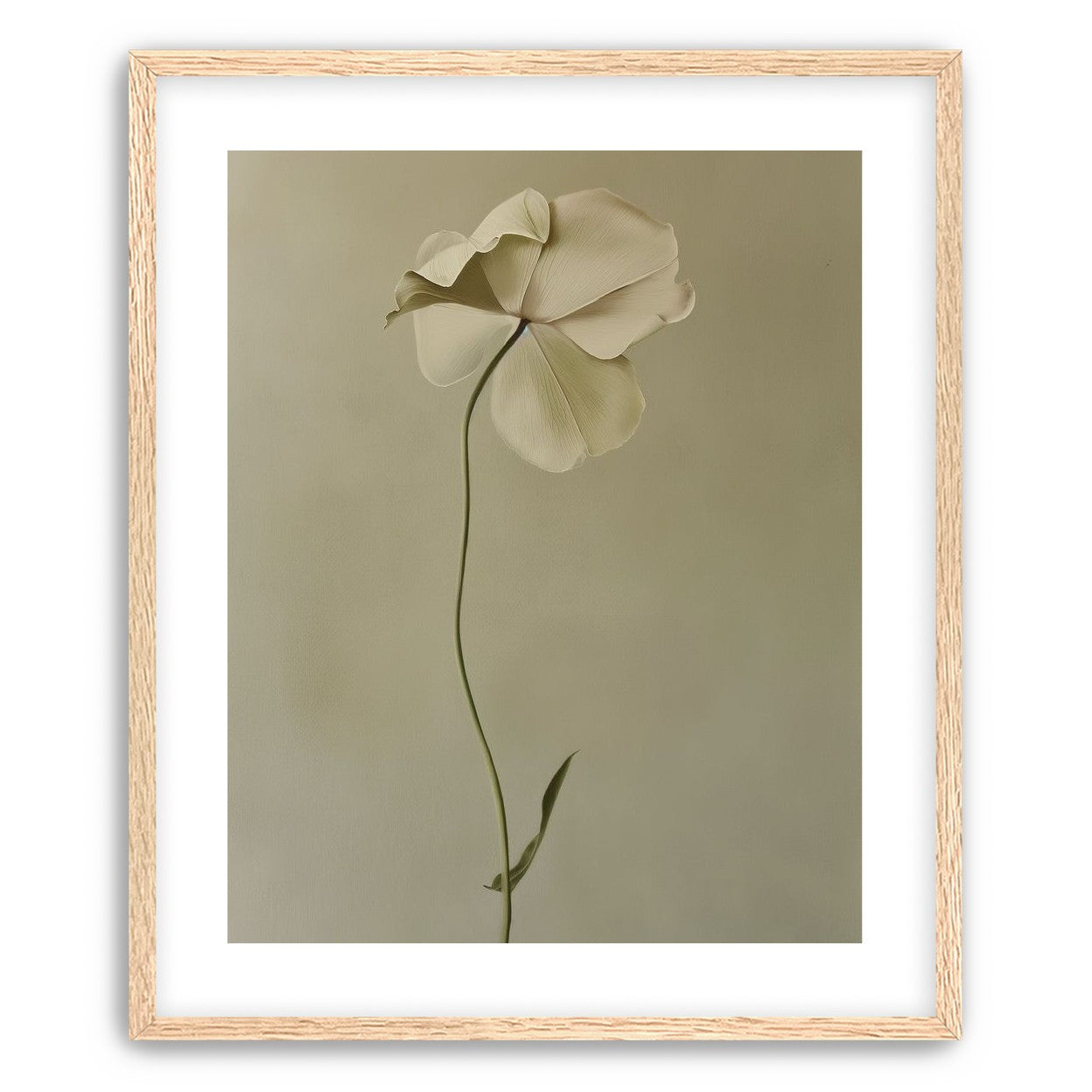 One flower leaning into quiet