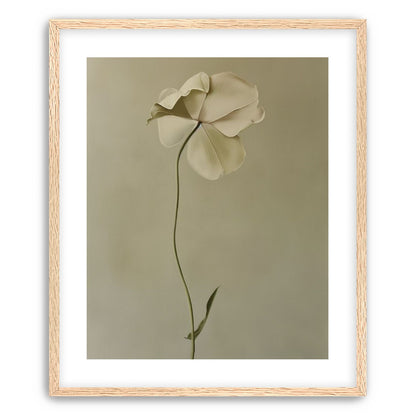 One flower leaning into quiet