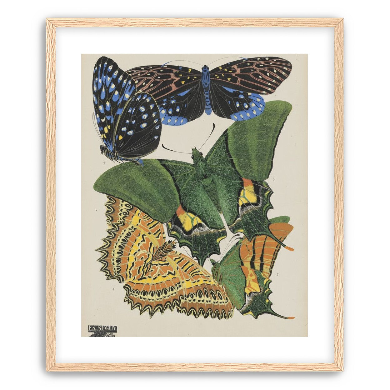 Butterflies on a pale plate
