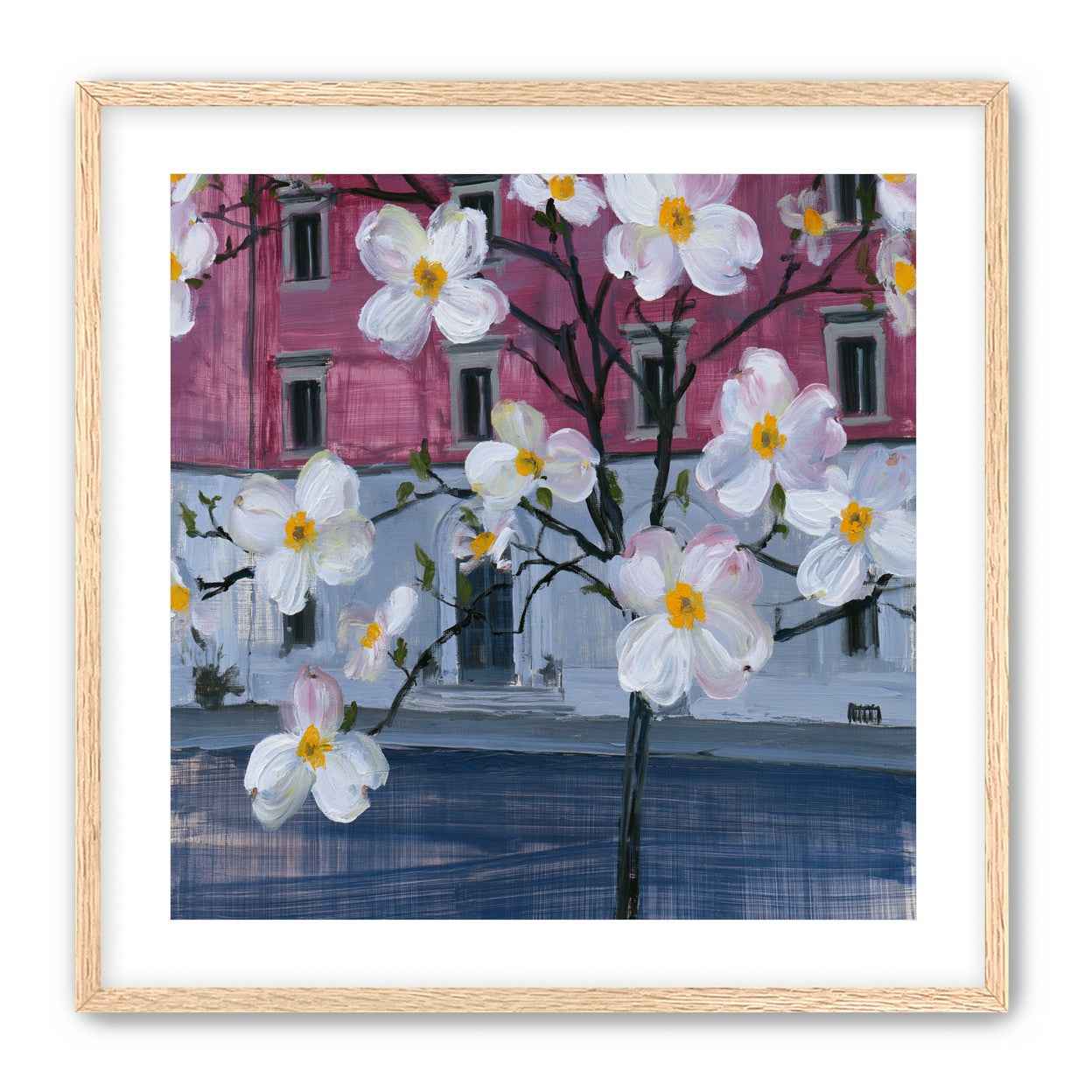 White blossoms over the pink house