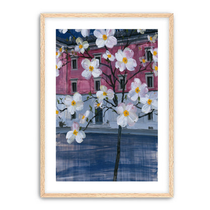 White blossoms over the pink house