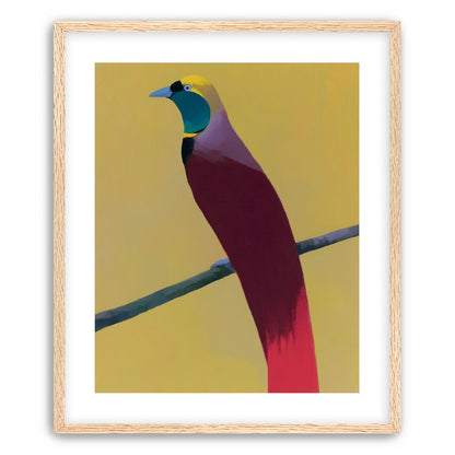 A bright bird on yellow