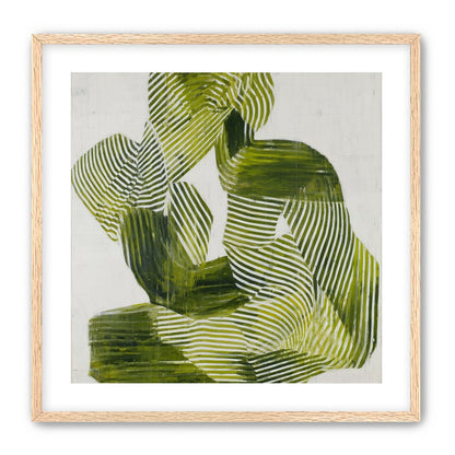 Olive stripes in repose