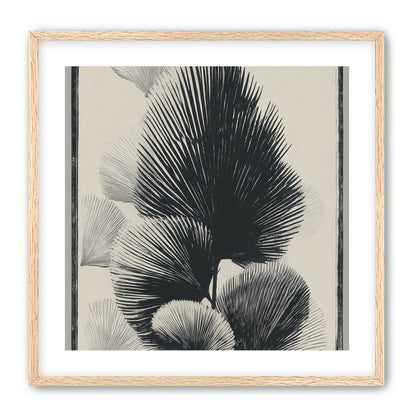 Fan fronds in ink shadow